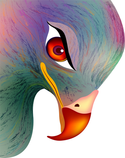 474x600 Eagle Face With Red Eye Free Vector In Adobe Illustrator