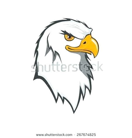 450x470 Eagle Drawings Pictures