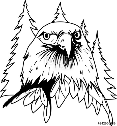 464x500 Eagle Face Vector Illustration Stock Image And Royalty Free