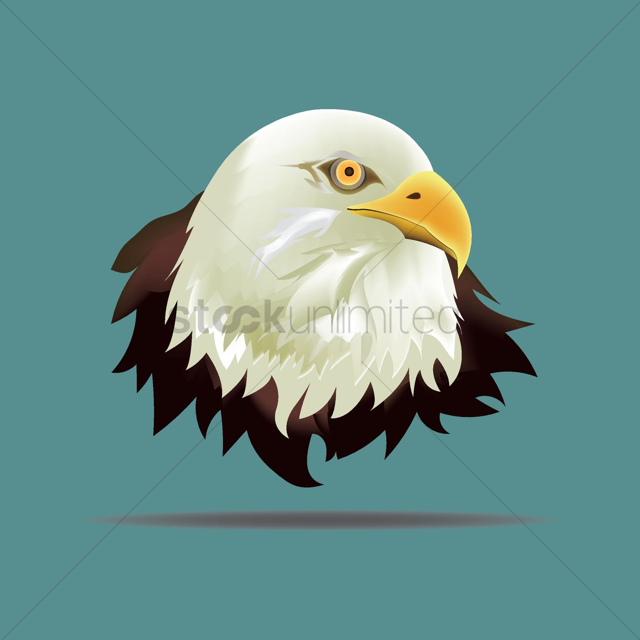 1300x1300 Eagle Face Vector Image