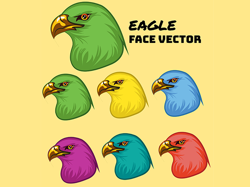 800x600 Eagle Face Vector Design