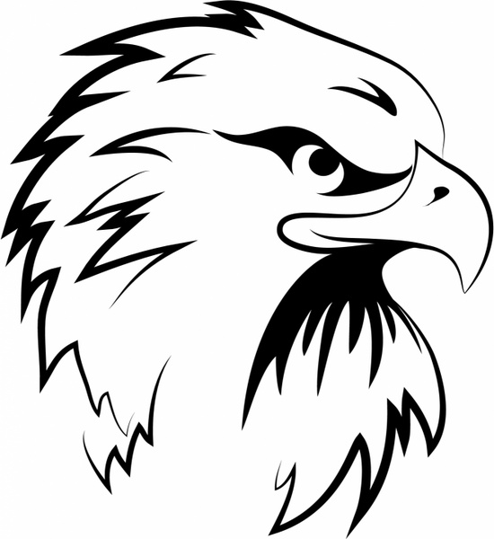 550x600 Eagle Head Free Vector In Adobe Illustrator