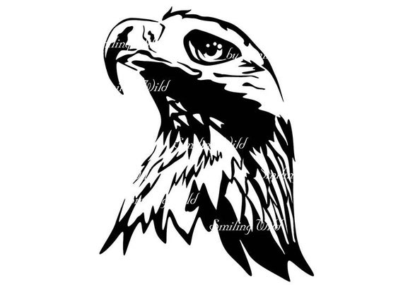570x403 Golden Eagle Portrait Vector Graphic Art Golden Eagle Face Etsy
