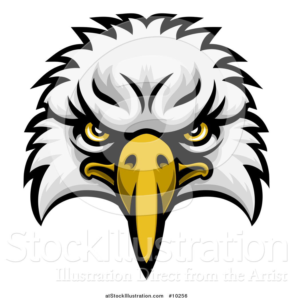 1024x1044 Vector Illustration Of A Bald Eagle Mascot Face
