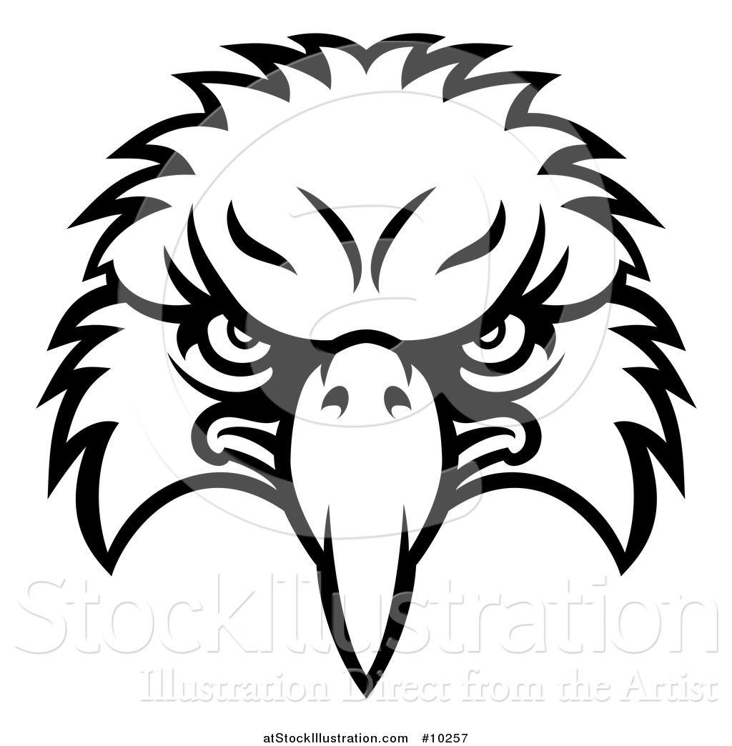 1024x1044 Vector Illustration Of A Black And White Bald Eagle Mascot Face