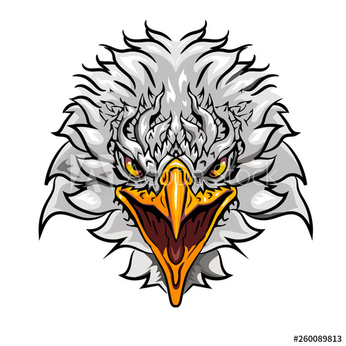 500x500 Eagle Face Vector
