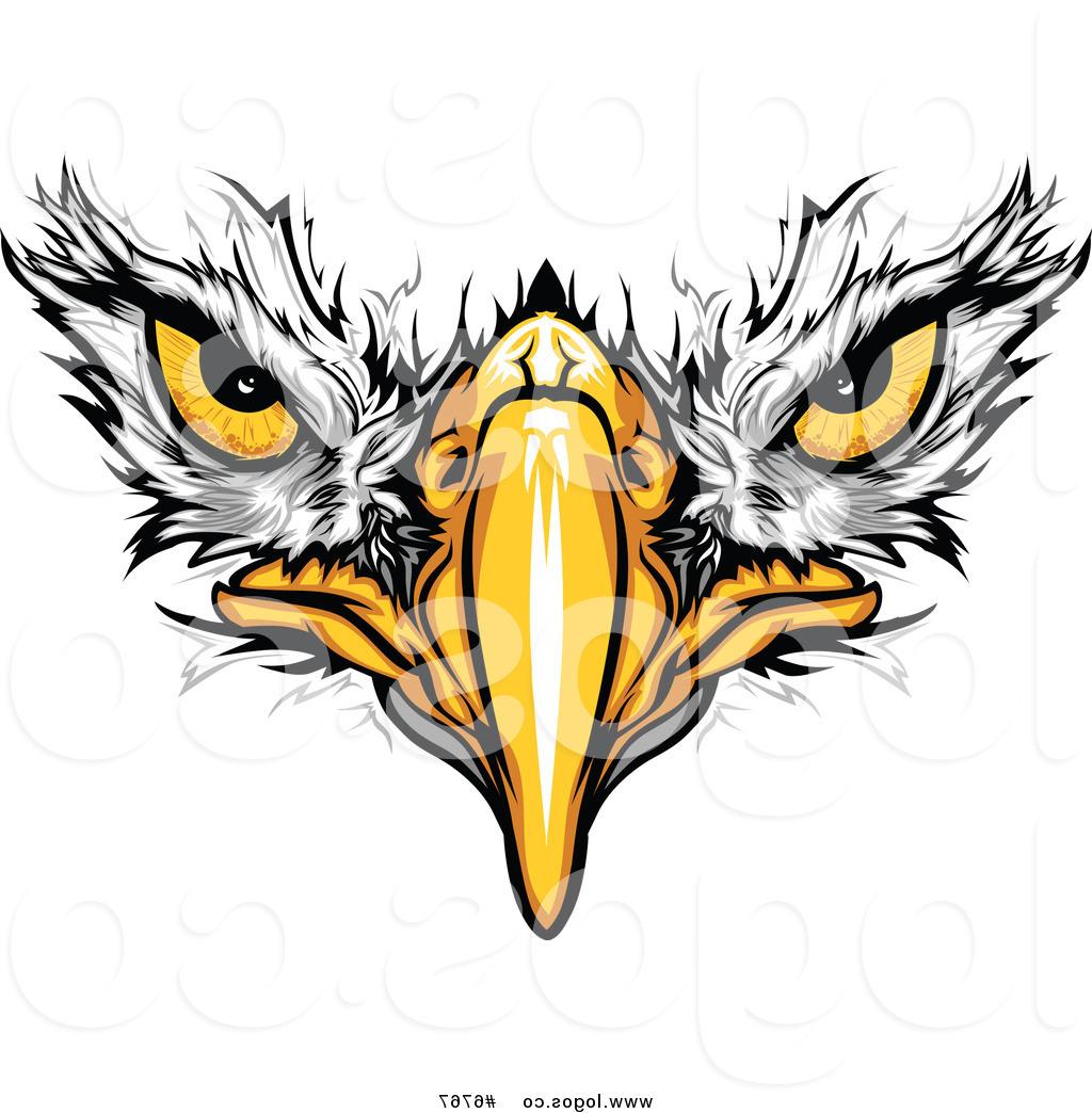 1024x1044 Best Eagle Face Vector Images Free Vector Art, Images, Graphics