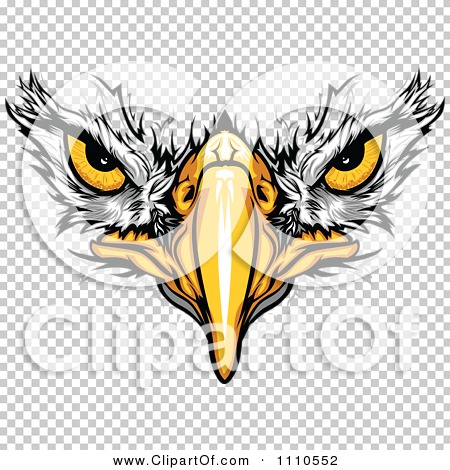 450x470 Clipart Bald Eagle Face With Menacing Eyes