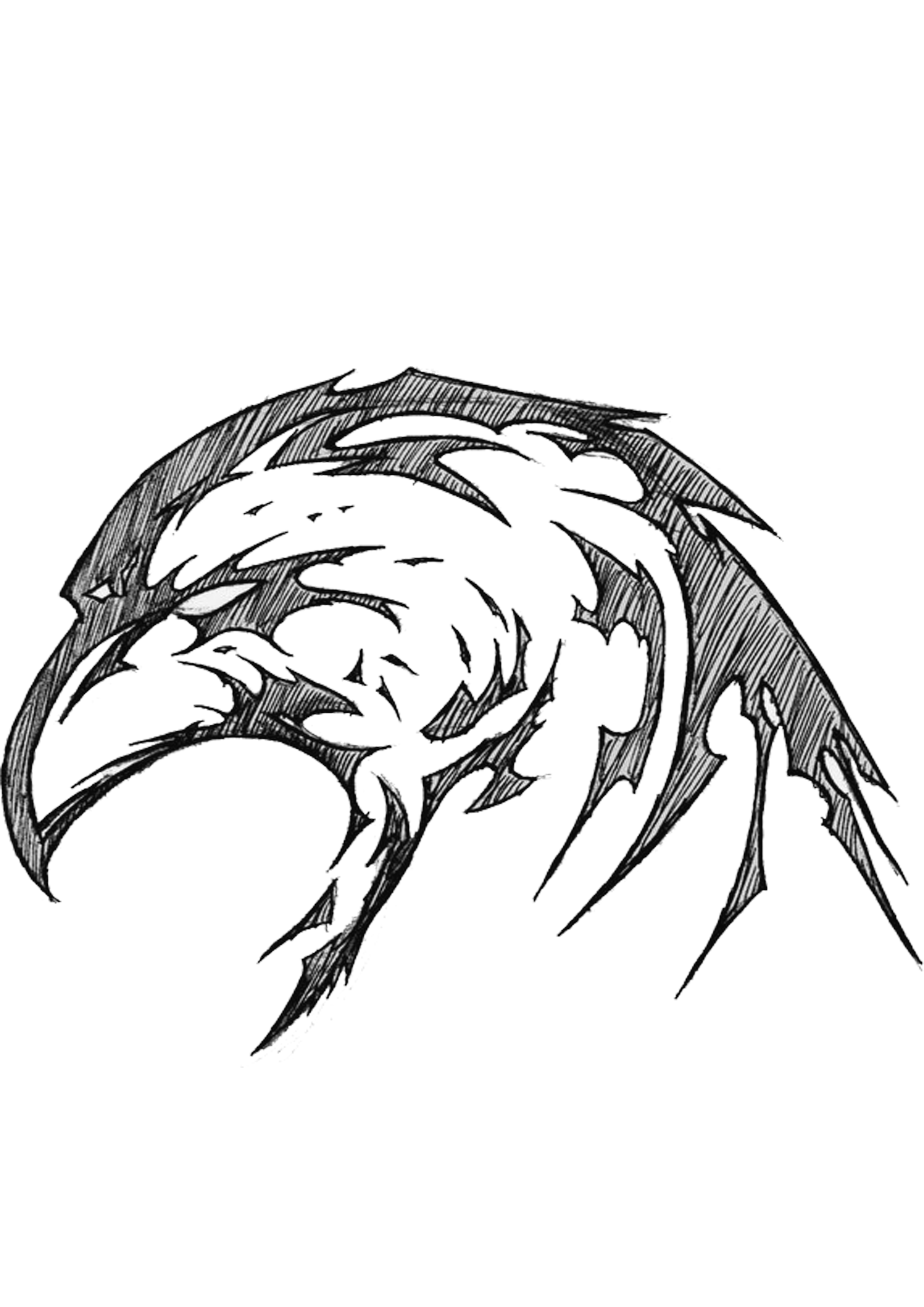 2480x3508 Eagle Face Png Free Images At Pngio