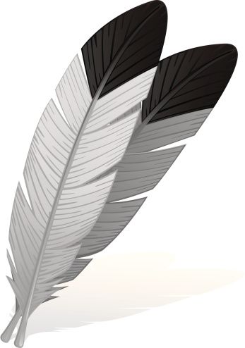 347x494 Eagle Feather Clip Art, Vector Images Illustrations