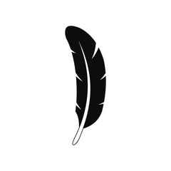 240x240 Eagle Feather Native Photos, Royalty Free Images, Graphics