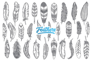 360x240 Eagle Feather Vector Photos, Royalty Free Images, Graphics