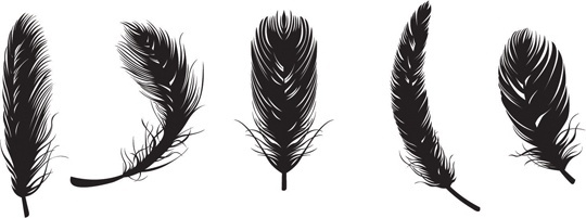 540x201 Eagle Feather Vector Images Free Vector Download