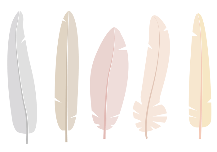 700x490 Free Feathers Vector