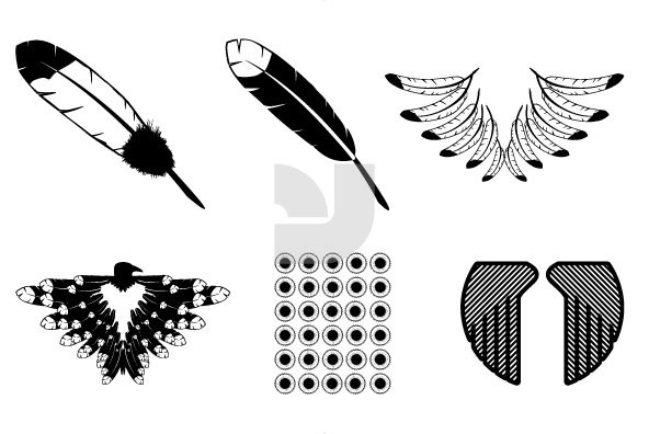 592x396 Other Images Eagle Feather Vector
