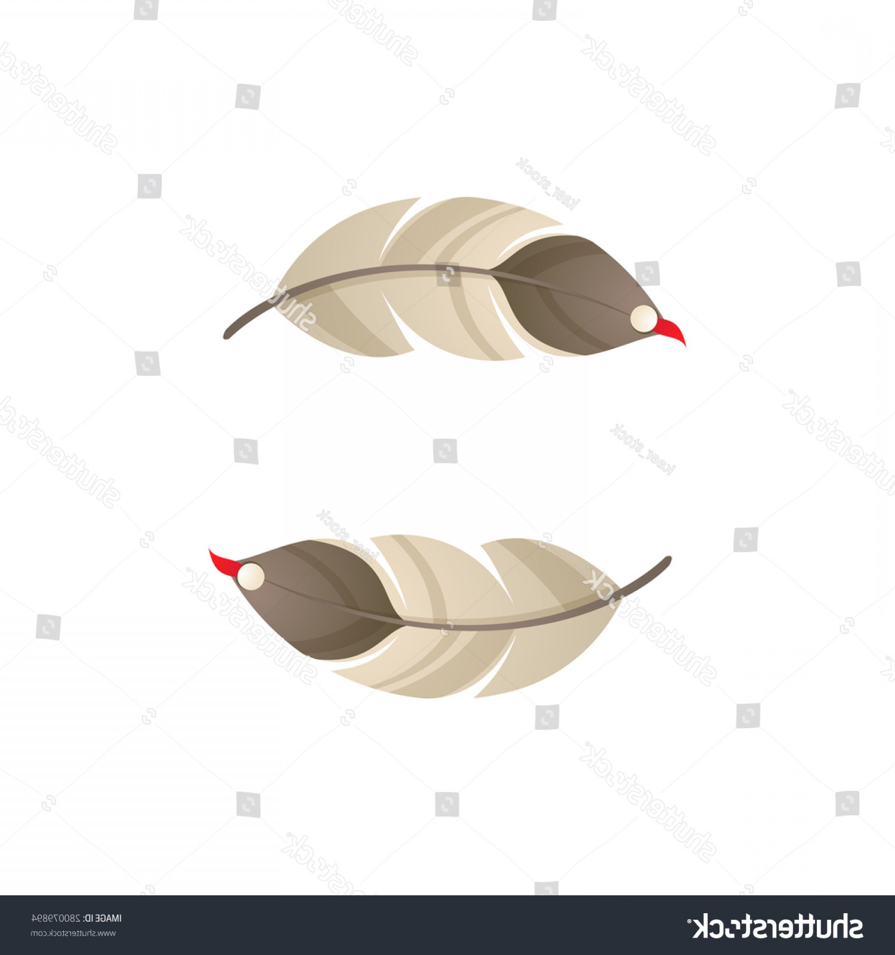 1800x1920 Native Feather Vector Cqrecords