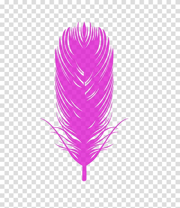 600x694 Bird Eagle Feather Law Euclidean Colored Feathers Transparent