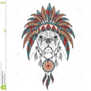 300x300 Catamart Creative Vector Illustrator