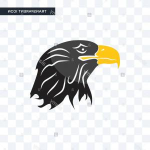 Eagle Head Vector Front View Cartoon Catchsplace 300x300 Eagle Head Vector Front View Cartoon Catchsplace