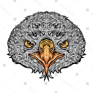 Eagle Head Vector Front View Cartoon Gm Soidergi 300x300 Eagle Head Vector Front View Cartoon Gm Soidergi