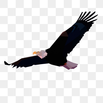 Eagle Png Images, Download Eagle Png Resources 360x360 Eagle Png Images, Download Eagle Png Resources