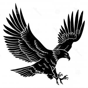 Eagle Silhouettes Front View Vector Soidergi 300x300 Eagle Silhouettes Front View Vector Soidergi