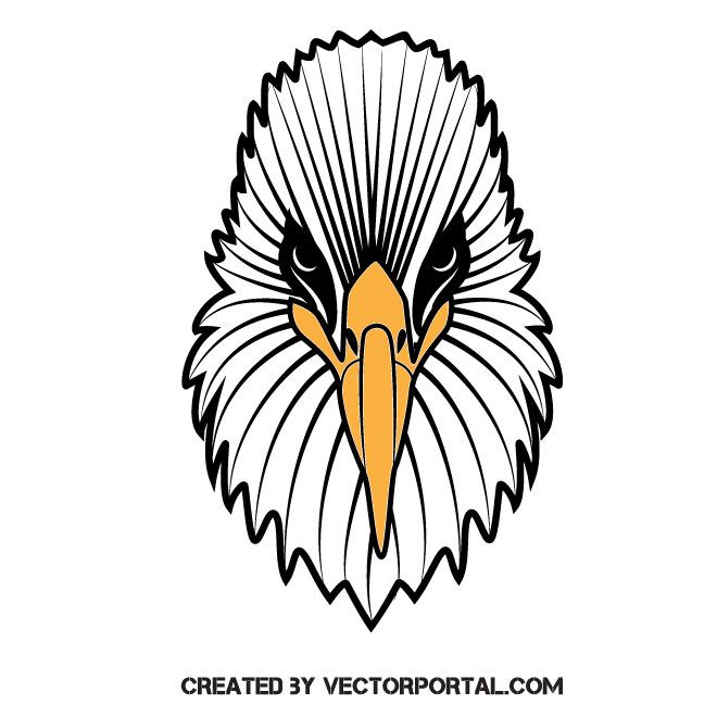 Eagle Vector Clip Art Front View Animal Vectors Eagle Vector 660x660 Eagle Vector Clip Art Front View Animal Vectors Eagle Vector