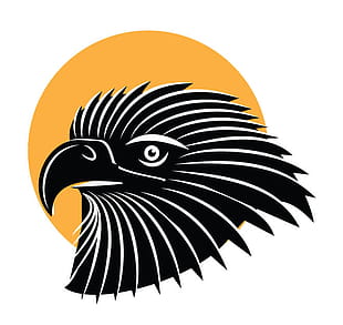 Eagle Vector Clip Art Front View Free Graphics Uihere 310x293 Eagle Vector Clip Art Front View Free Graphics Uihere