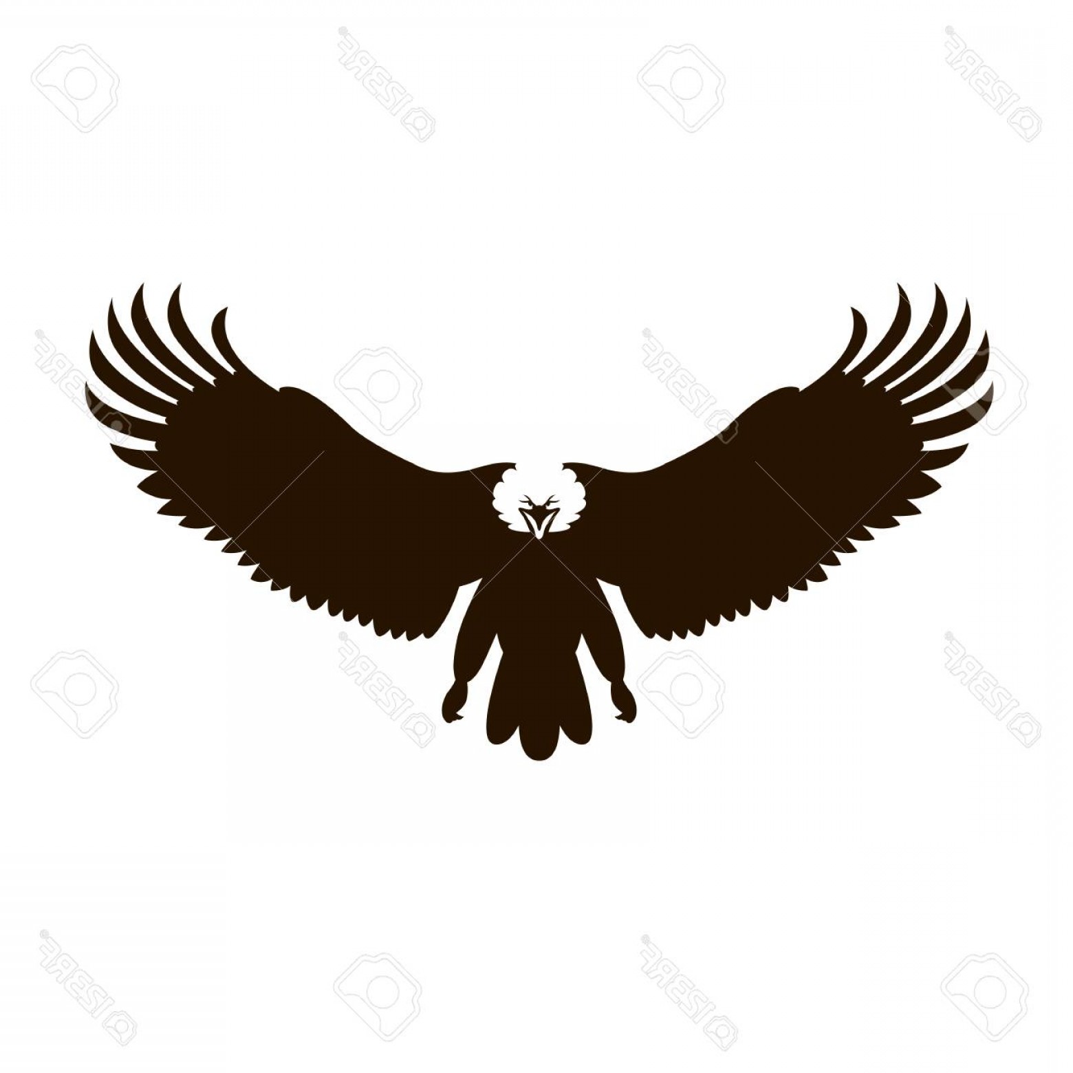 Photostock Vector Bald Eagle Illustration Black Silhouette Soidergi 1560x1560 Photostock Vector Bald Eagle Illustration Black Silhouette Soidergi