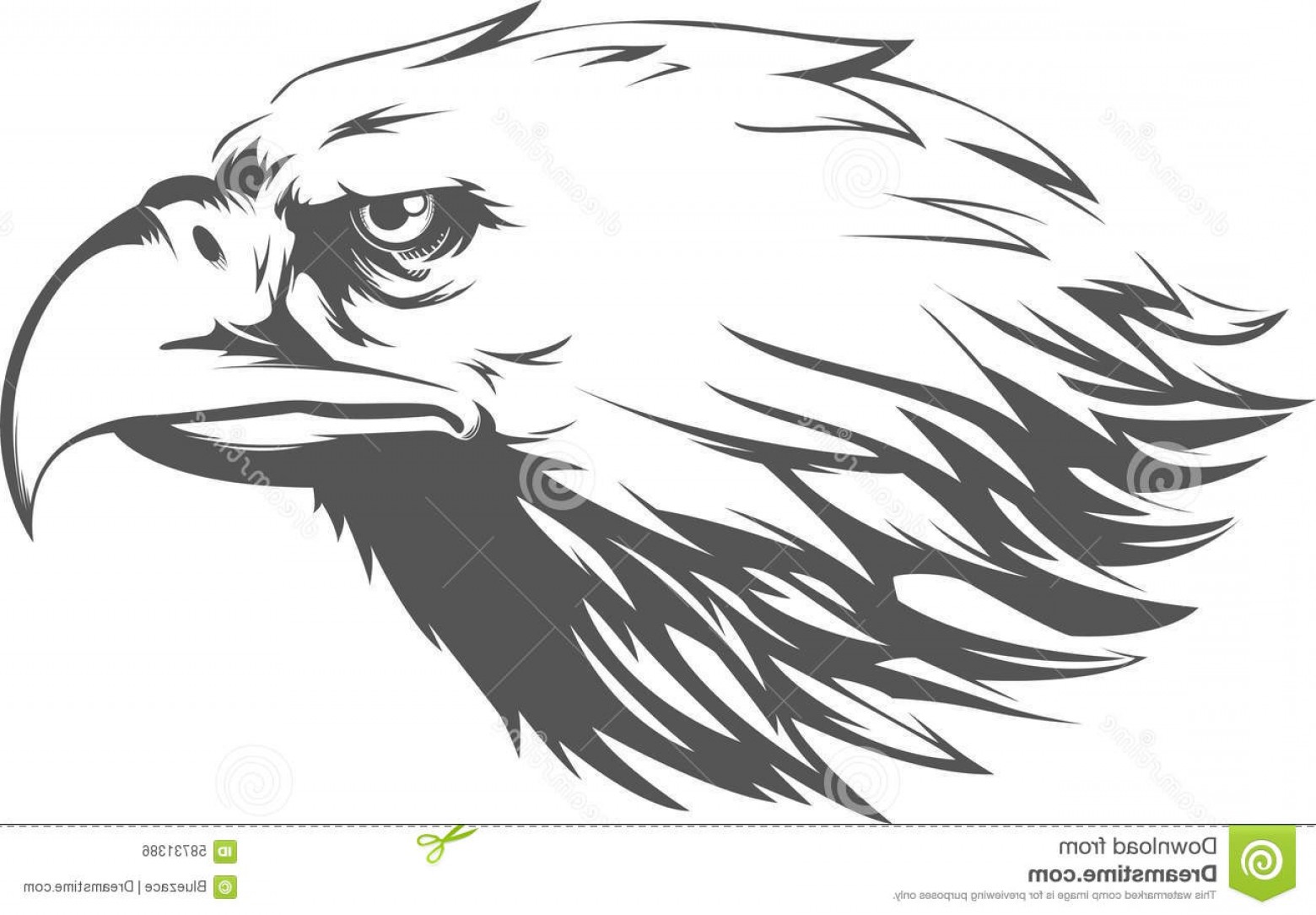 Stock Illustration Eagle Head Vector Side View Silhouette Image 1560x1084 Stock Illustration Eagle Head Vector Side View Silhouette Image