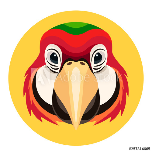 Vector Ara Parrot Icon Exotic Bird Illustration Front View 500x500 Vector Ara Parrot Icon Exotic Bird Illustration Front View