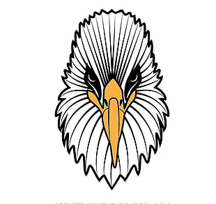 Bald Eagle Head Free Graphics Uihere 310x293 Bald Eagle Head Free Graphics Uihere