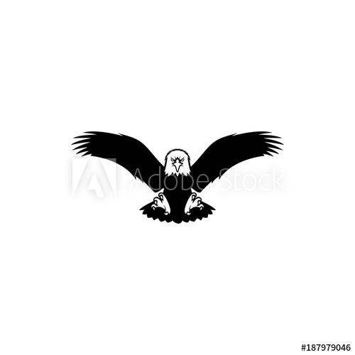 Eagle Flying View Front Vector Illustrations 500x500 Eagle Flying View Front Vector Illustrations