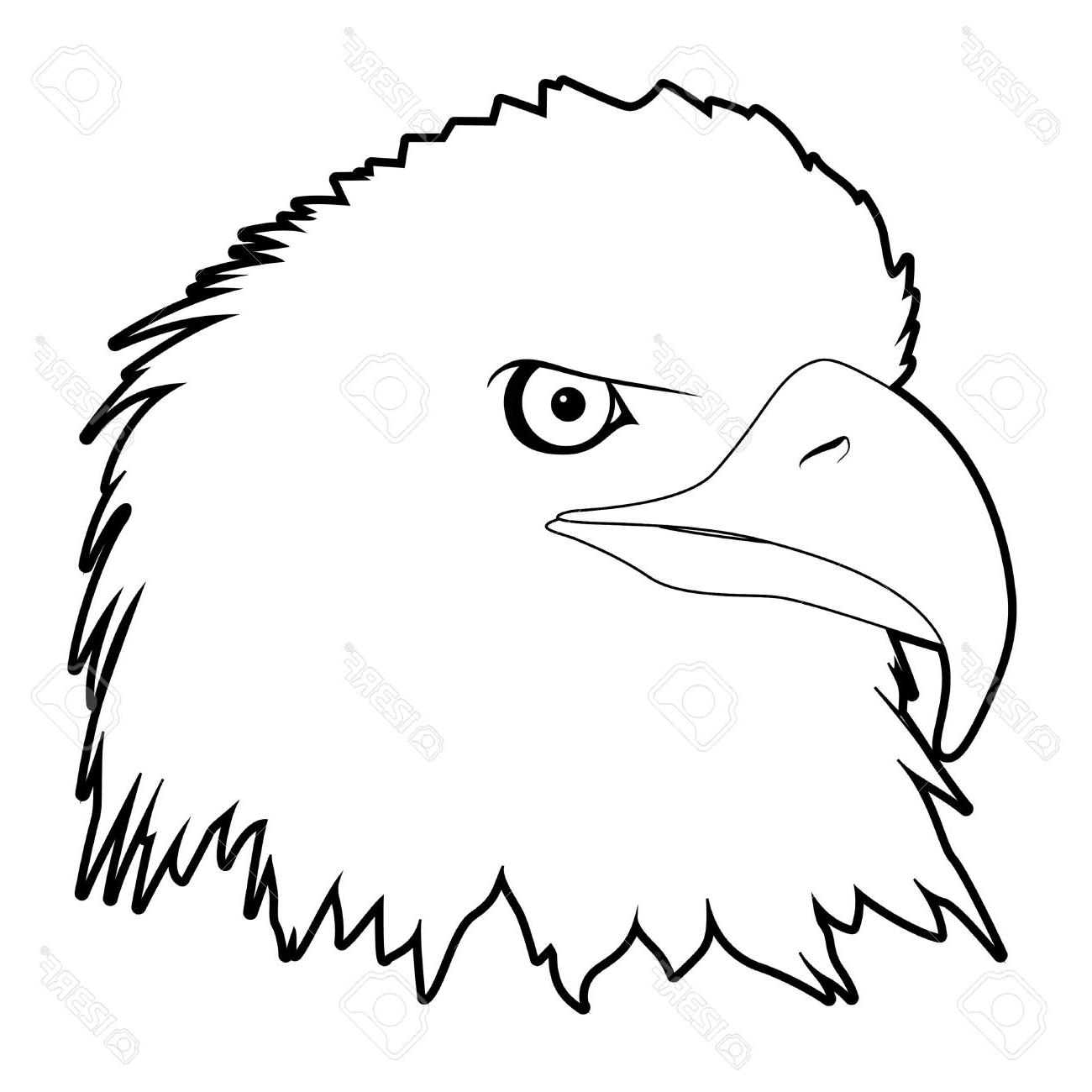 Collection Of 'bald Eagle Head Silhouette' Download More Than 1300x1300 Collection Of 'bald Eagle Head Silhouette' Download More Than