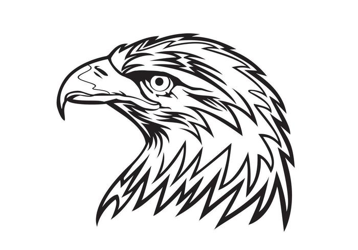 Eagle Free Vector Art 700x490 Eagle Free Vector Art