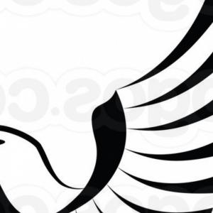 Eagle Globe And Anchor Vector