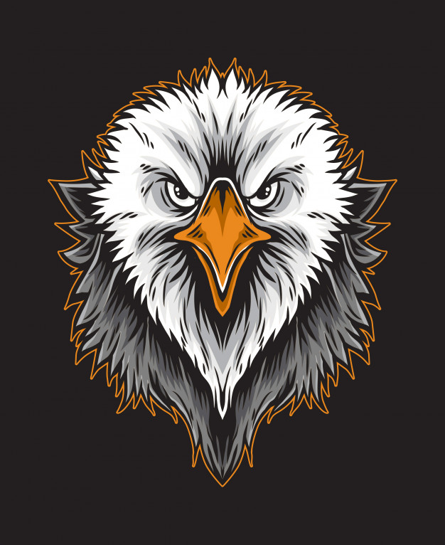 626x766 Eagle Head Vector Vector Premium Download