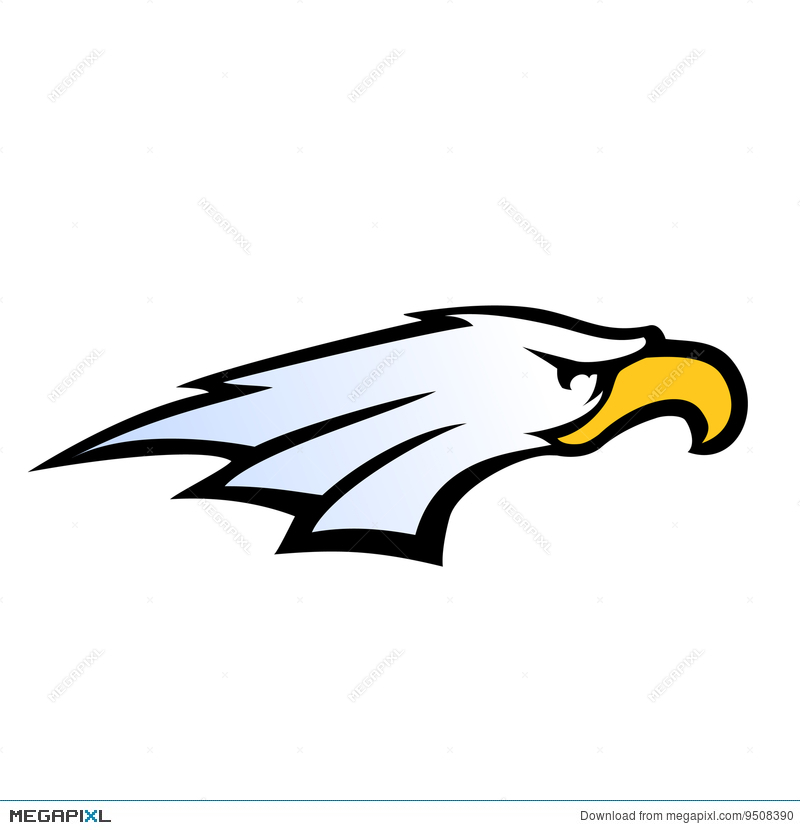 800x830 Sport Team Style Eagle Head Vector Illustration