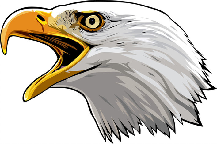 708x468 Eagle Head Vector