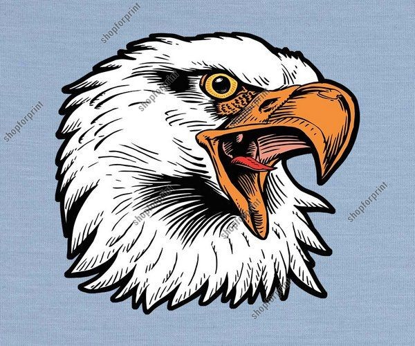 600x500 Eagle Head Vector Format