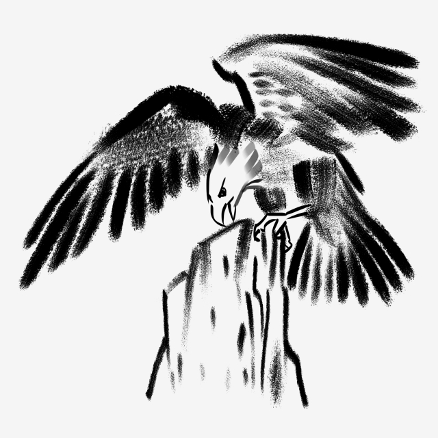 Eagle Head Png, Vector, And Clipart With Transparent 640x640 Eagle Head Png, Vector, And Clipart With Transparent