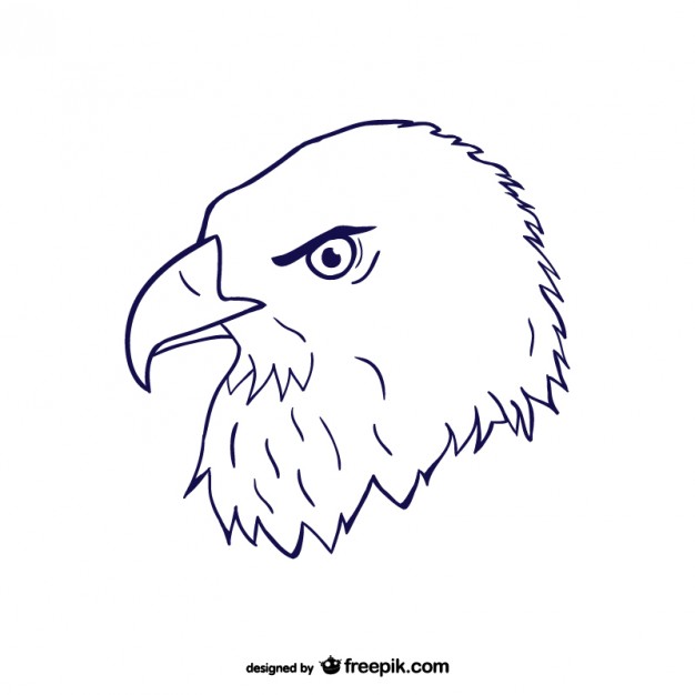 Eagle Head Vectors, Photos And Free Download 626x626 Eagle Head Vectors, Photos And Free Download