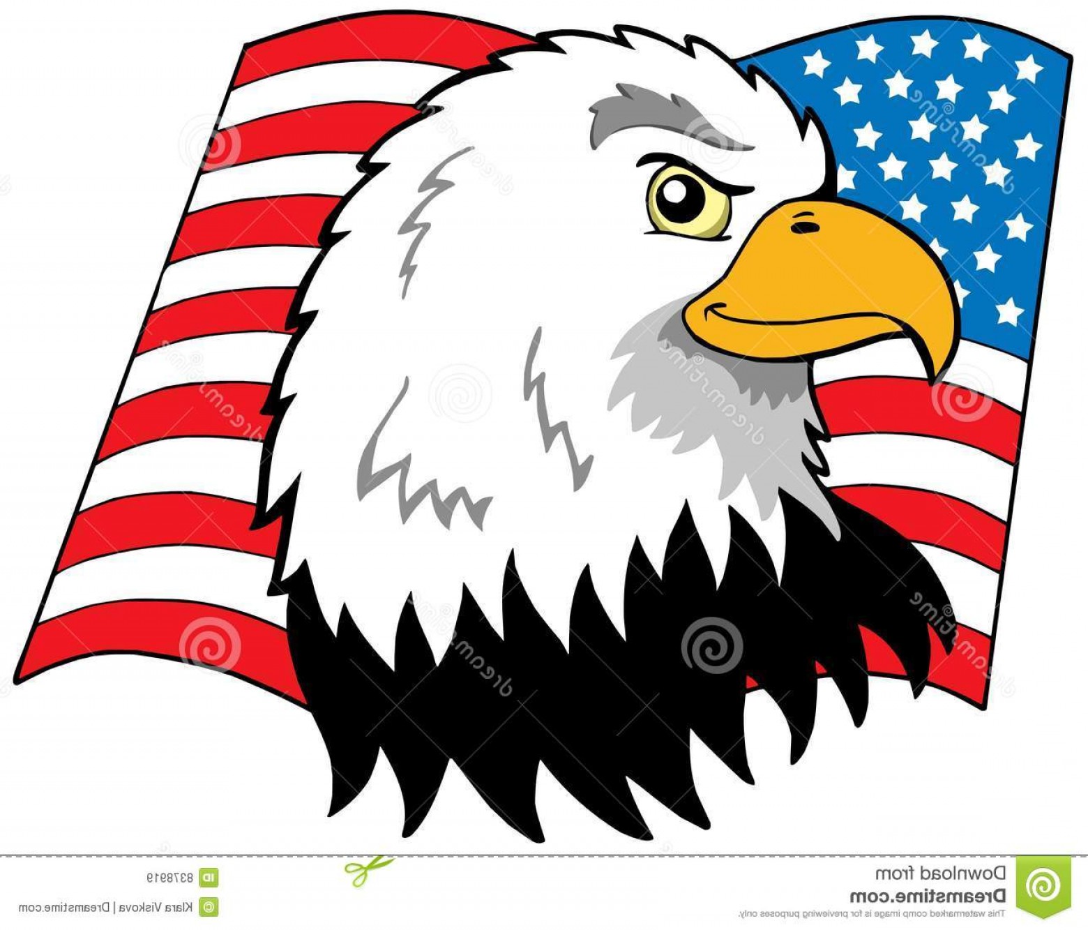 Royalty Free Stock Images American Eagles Head Flag Image 1560x1333 Royalty Free Stock Images American Eagles Head Flag Image