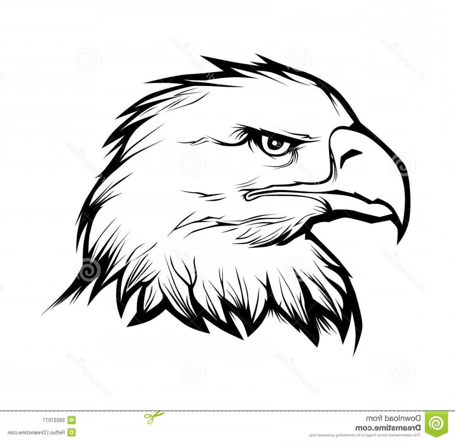 Royalty Free Stock Photography Eagle Head Realistic Black White 1560x1515 Royalty Free Stock Photography Eagle Head Realistic Black White