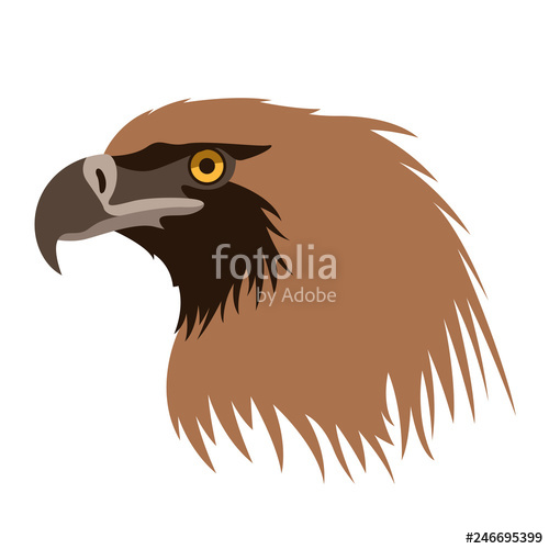 Eagle Head Vector Illustration, Flat Style, Profile Stock Image 500x500 Eagle Head Vector Illustration, Flat Style, Profile Stock Image