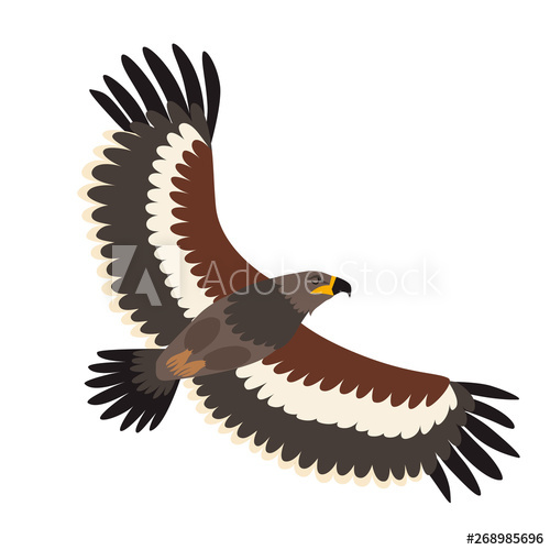 Steppe Eagle Icon Vector Illustration Cartoon Style Bird 500x500 Steppe Eagle Icon Vector Illustration Cartoon Style Bird
