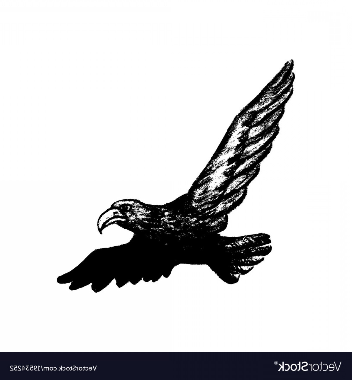 Vector Eagle Grunge Sarahgardan 1200x1296 Vector Eagle Grunge Sarahgardan