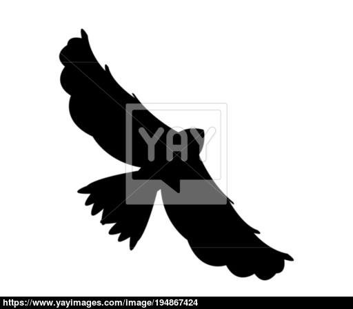 Eagle Icon Vector 512x448 Eagle Icon Vector