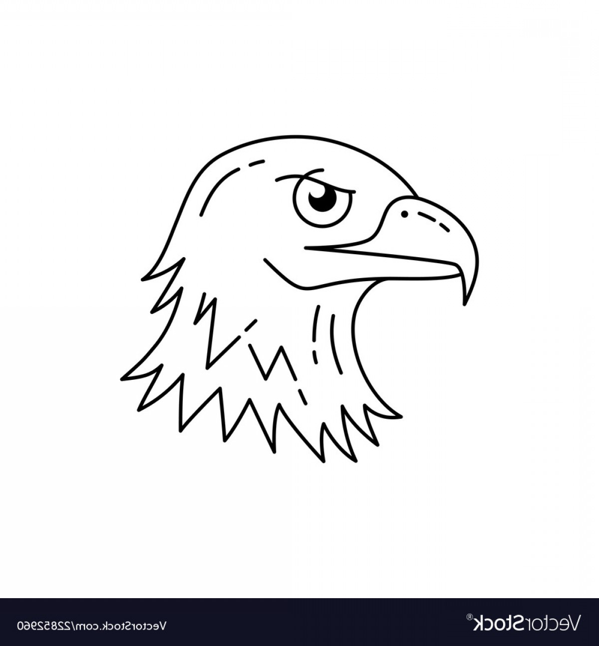 Голова орла раскраска