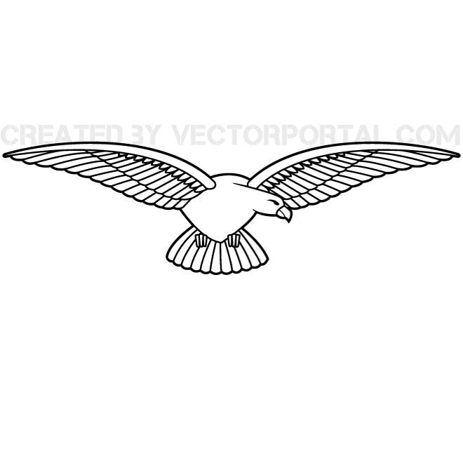 Eagle Line Vector Drawing 660x660 Eagle Line Vector Drawing